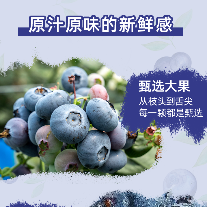 15mm+尝鲜优选装，遇见"莓"好时光，甜度果味浓郁正当时!